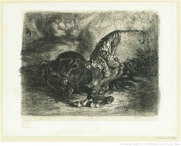 Delacroix - Cheval sauvage terrassé par un Tigre, 1er état, btv1b100297827