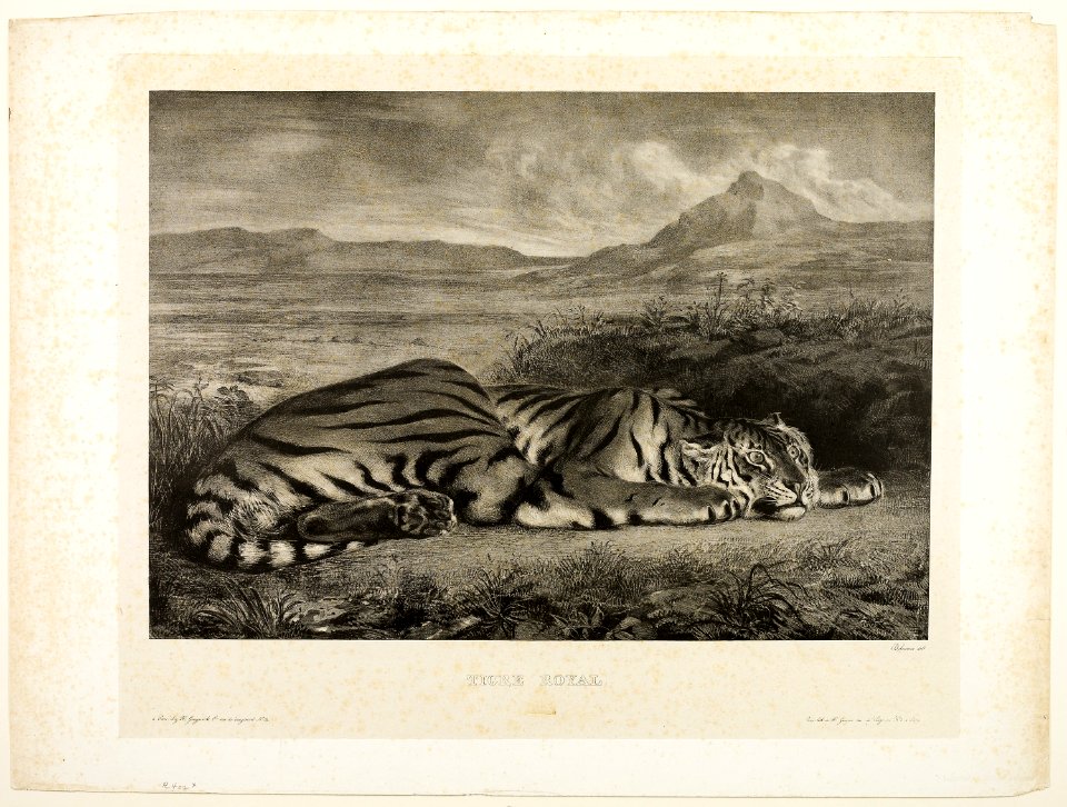 Delacroix - Bengal Tiger, 1927.1645