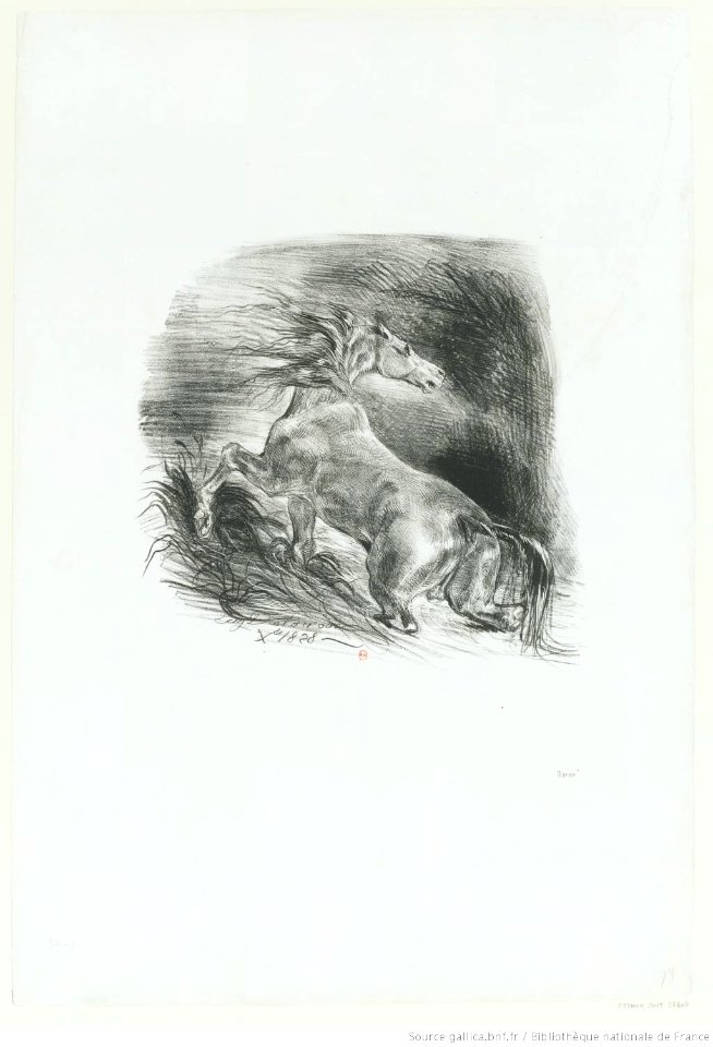 Delacroix - Cheval sauvage, btv1b100297844