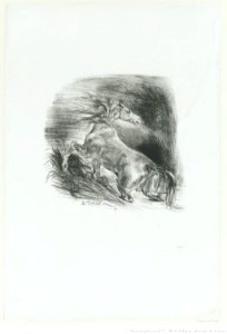 Delacroix - Cheval sauvage, btv1b100297844