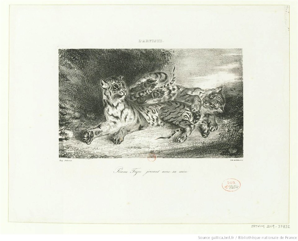 Delacroix - Jeune Tigre jouant avec sa mère, btv1b10029809f