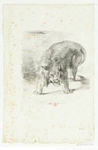 Delacroix - Lion debout, btv1b104618932