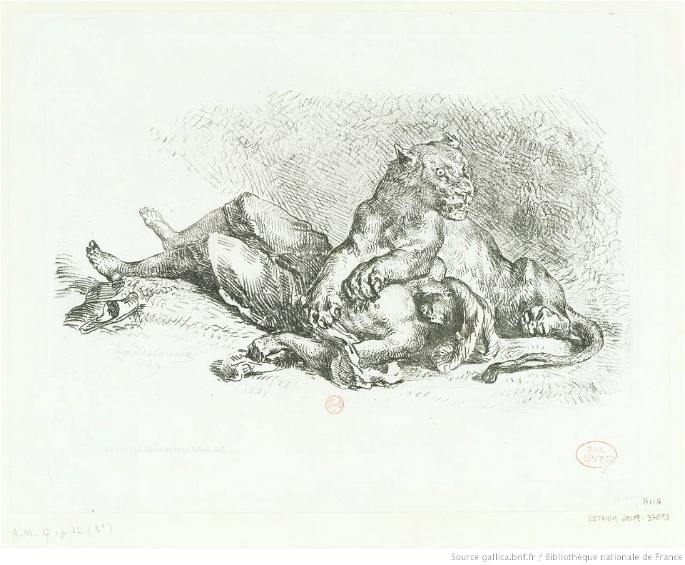Delacroix - Lionne déchirant la poitrine d'un arabe, 3e état, btv1b100296678