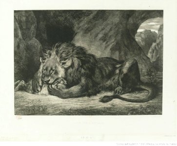 Delacroix - Lion de L'Atlas, btv1b100297861