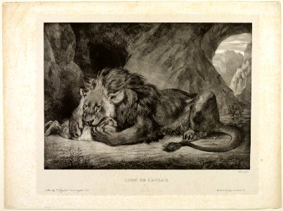 Delacroix - Lion of the Atlas Mountains, 1927.1646
