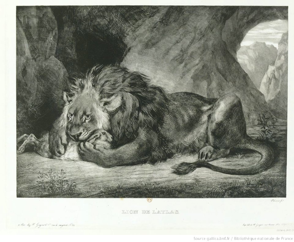 Delacroix - Lion de L'Atlas, 3e état, btv1b10461689k