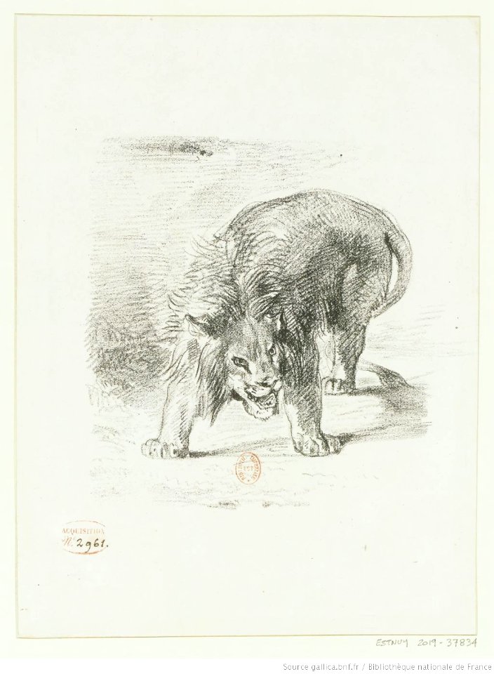Delacroix - Lion debout, btv1b100298118