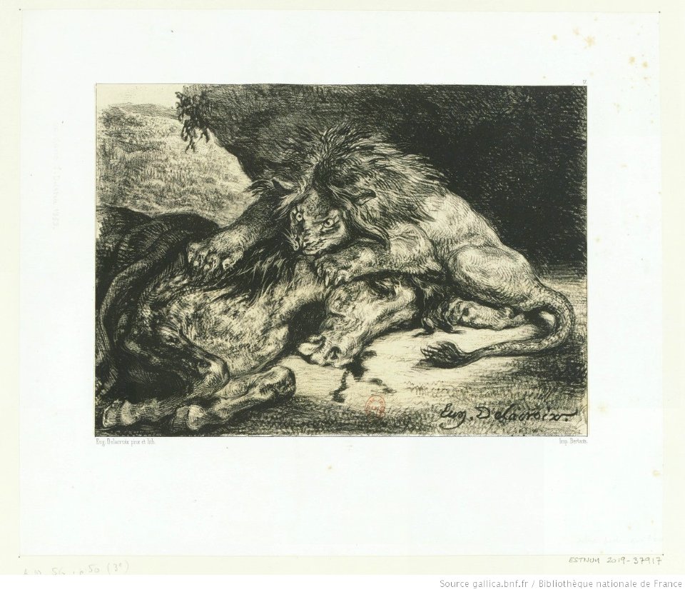 Delacroix - Lion dévorant un cheval, btv1b10029862s