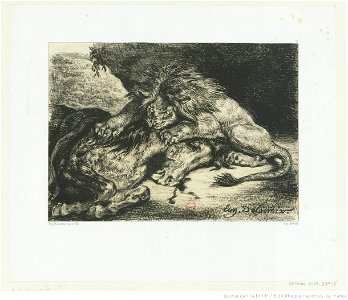 Delacroix - Lion dévorant un cheval, btv1b10029862s