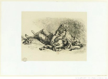 Delacroix - Lionne déchirant la poitrine d'un arabe, 1er état, btv1b10461861x