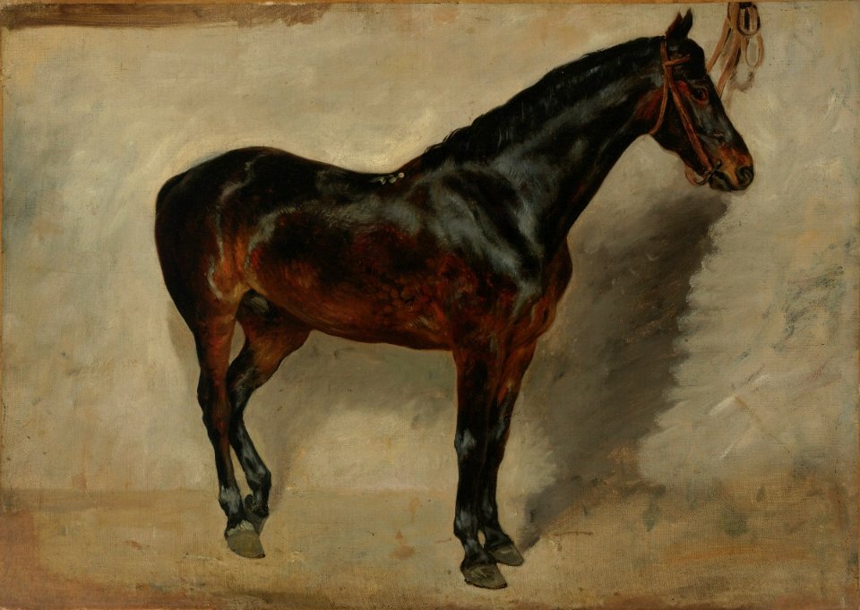 Delacroix - Study of a Brown-Black Horse Tethered to a Wall, ca. 1823