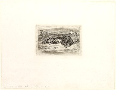 Delacroix - Tiger Resting in the Desert, 1926.586