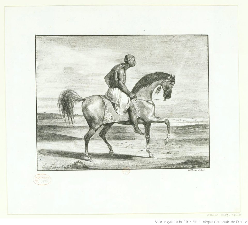 Delacroix - Nègre à cheval, btv1b100296873