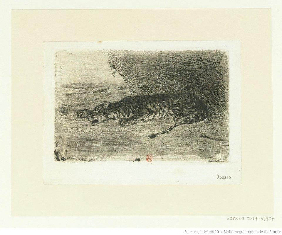 Delacroix - Tigre couché à l'entrée de son antre, btv1b10461917x