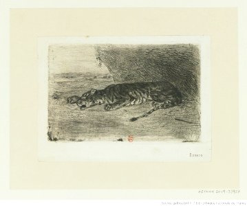 Delacroix - Tigre couché à l'entrée de son antre, btv1b10461917x