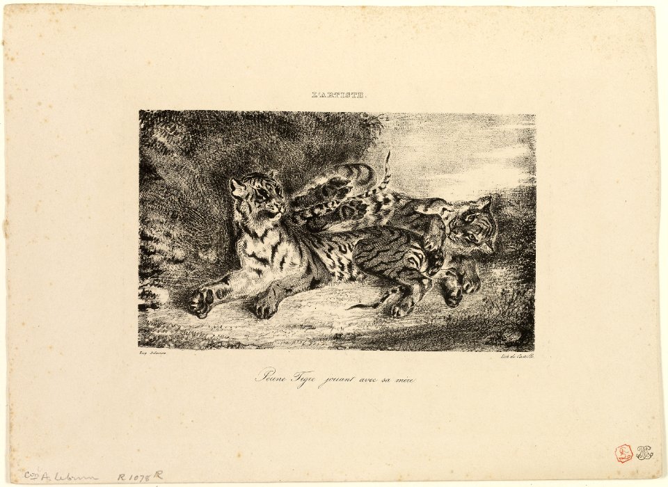 Delacroix - Young Tiger Playing with Its Mother, 1922.4476
