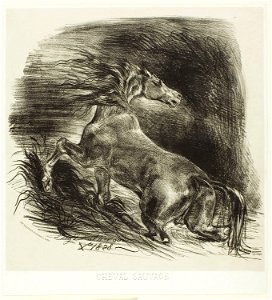 Delacroix - Wild Horse or Frightened Horse Leaving the Water, 1983.784