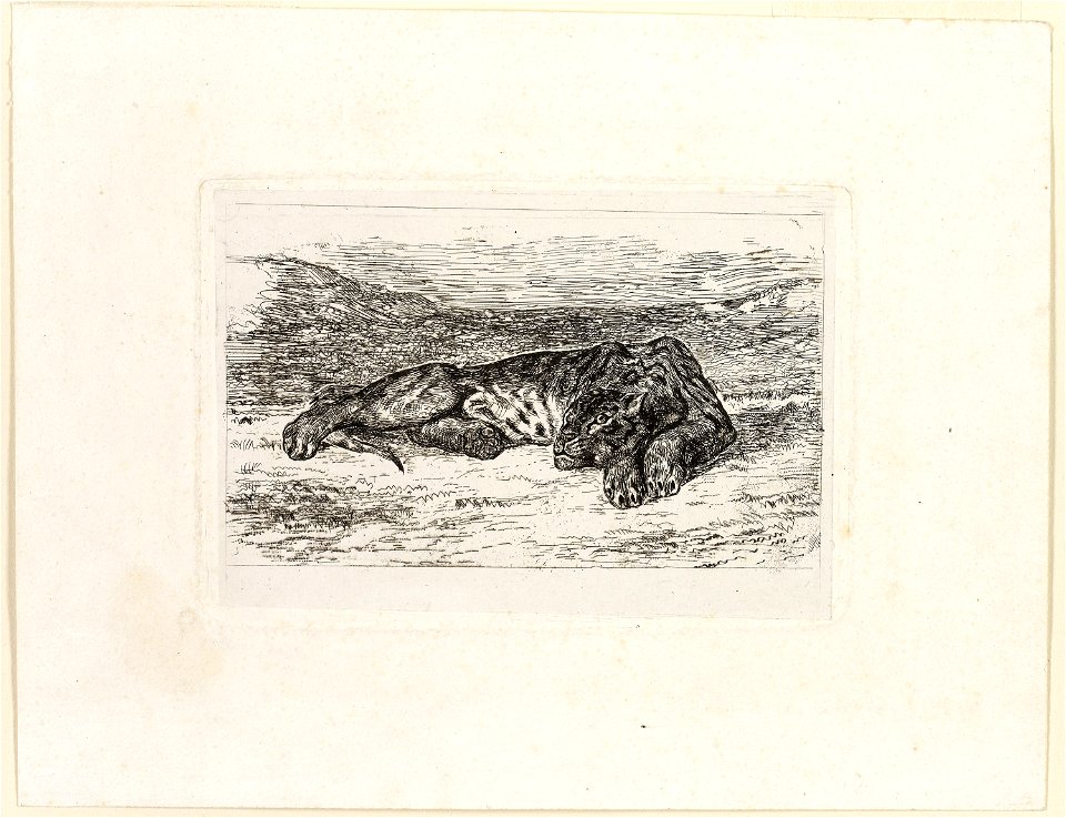 Delacroix - Tiger Resting in the Desert, 1976.411