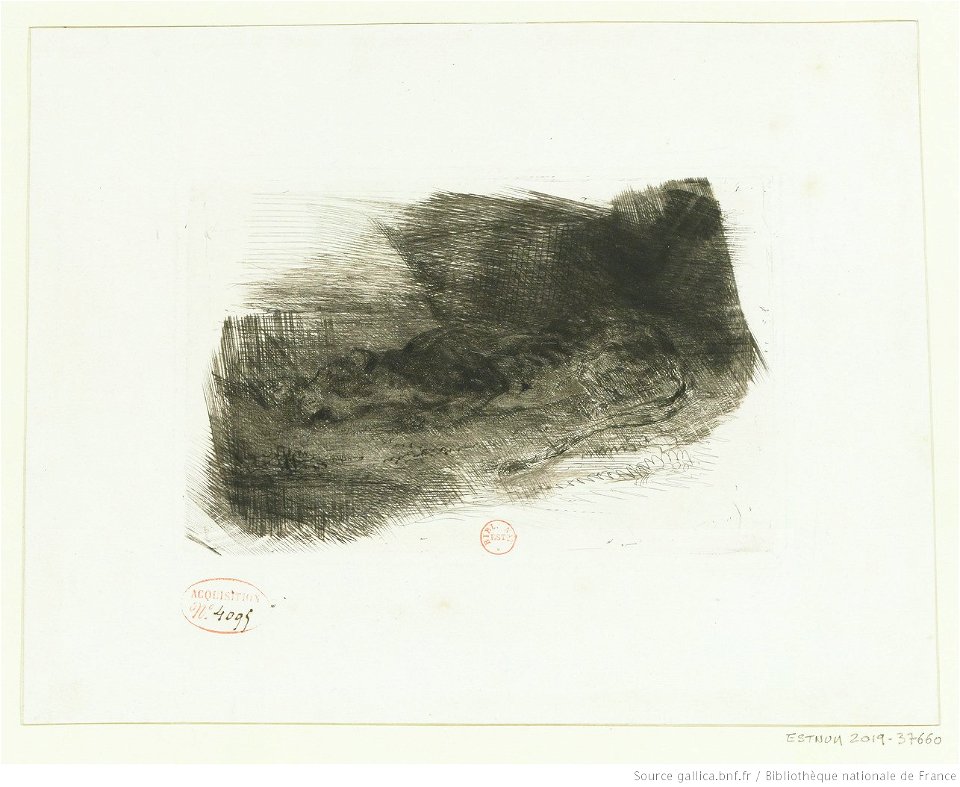 Delacroix - Tigre couché à l'entrée de son antre, 2e état, btv1b10029880q