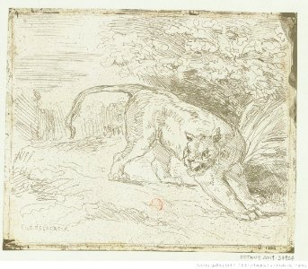 Delacroix - Tigre en arrêt, 2e état, btv1b10029868g