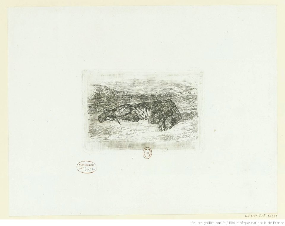 Delacroix - Tigre couché dans le désert, btv1b10461863t