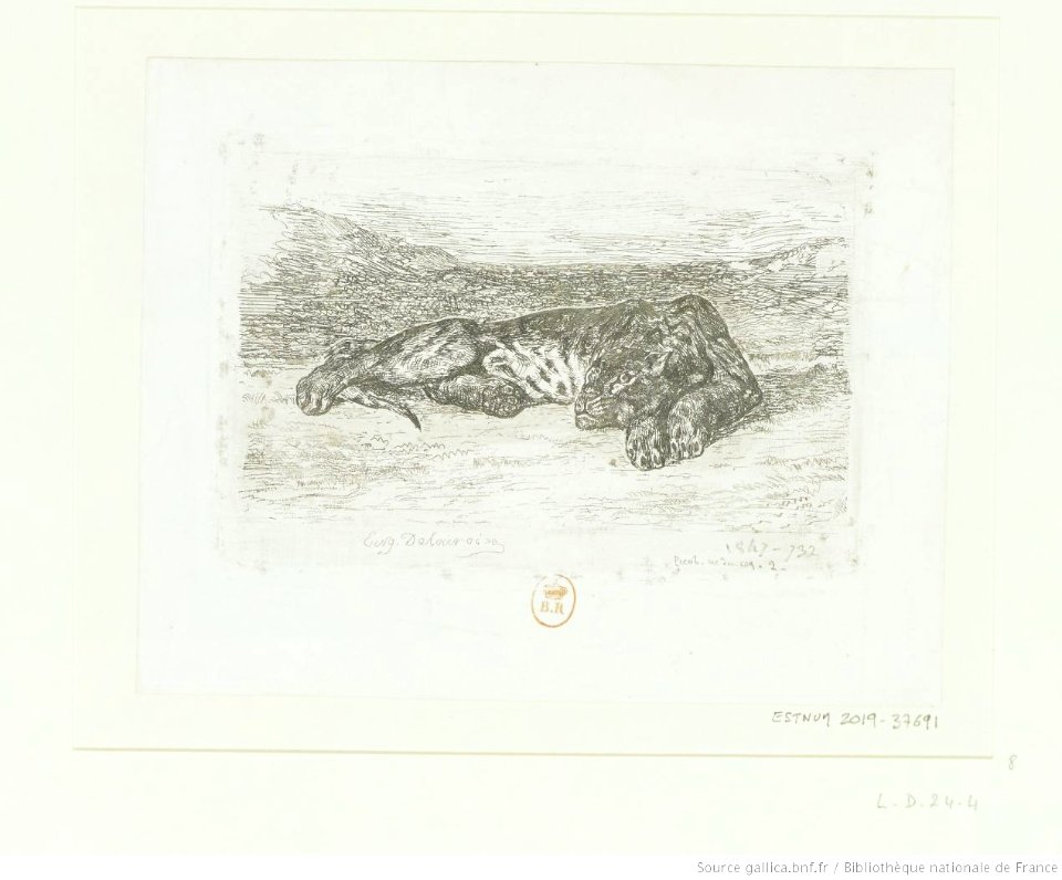 Delacroix - Tigre couché dans le désert, 4e état, btv1b10029663g