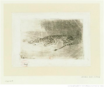 Delacroix - Tigre couché à l'entrée de son antre, btv1b10461540h