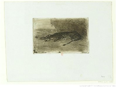 Delacroix - Tigre couché à l'entrée de son antre, btv1b10029882m
