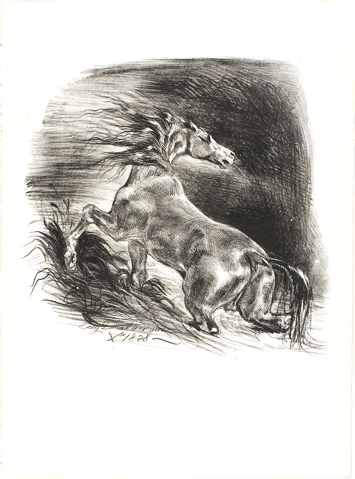 Delacroix - Wild Horse, or Frightened Horse Leaving the Water, 1989.173