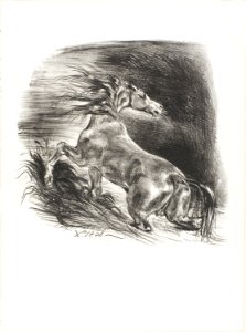Delacroix - Wild Horse, or Frightened Horse Leaving the Water, 1989.173