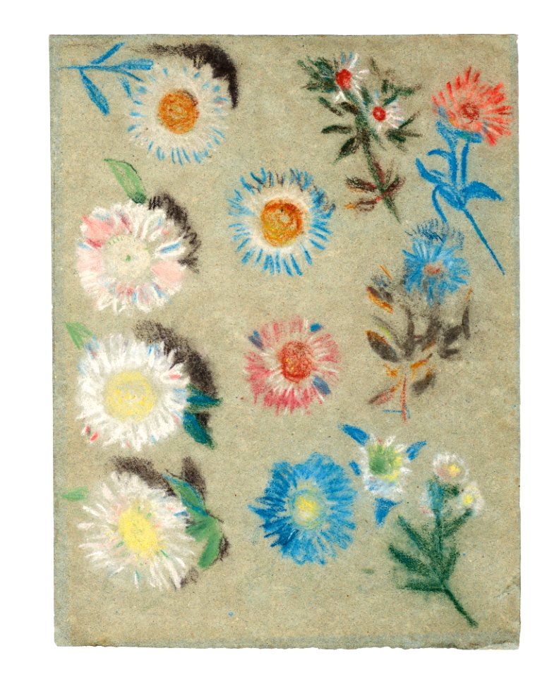 Delacroix - Étude de fleurs, 6310571