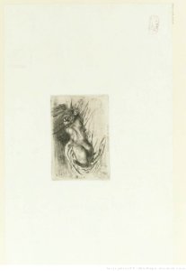 Delacroix - Étude de femme, vue de dos, btv1b10461865q