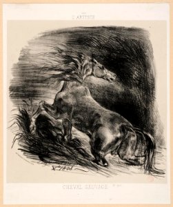 Delacroix Cheval sauvage 1828