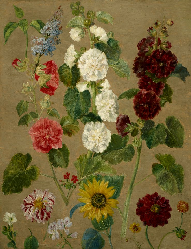 Eugène Delacroix - Untitled (flowers) - 2003.70 - Minneapolis Institute of Arts