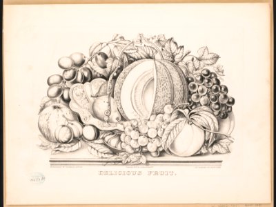 Delicious Fruit LCCN91795202