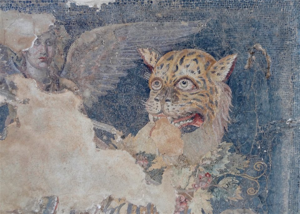 Delos Museum Mosaik Dionysos 08