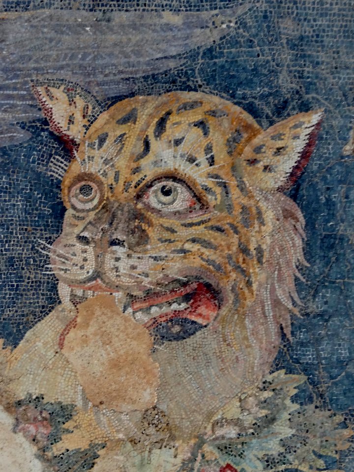 Delos Museum Mosaik Dionysos 09