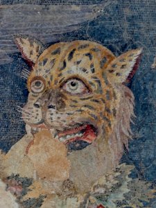 Delos Museum Mosaik Dionysos 09