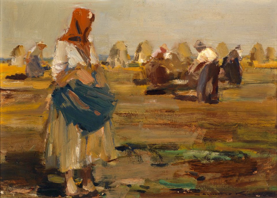 Demeter Koko Am Feld