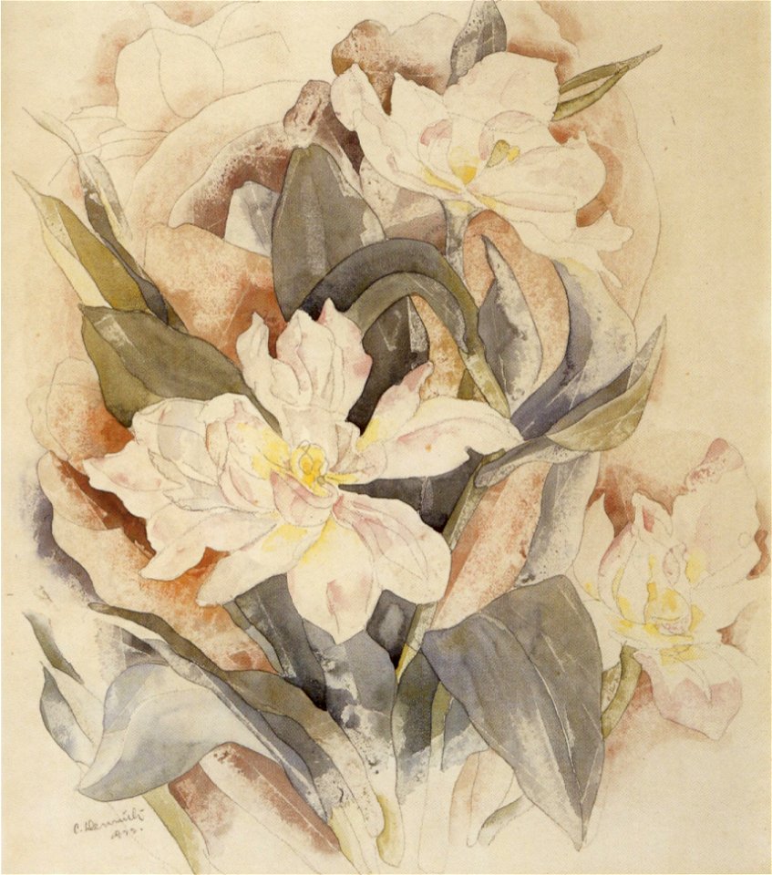 Charles Demuth - 'Flower Study', 1922, watercolor over graphite