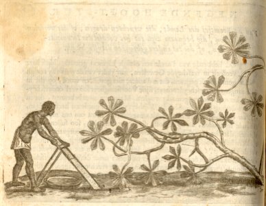 Den Manyoc - BNA-DIG-KOSTBARE-0427-021