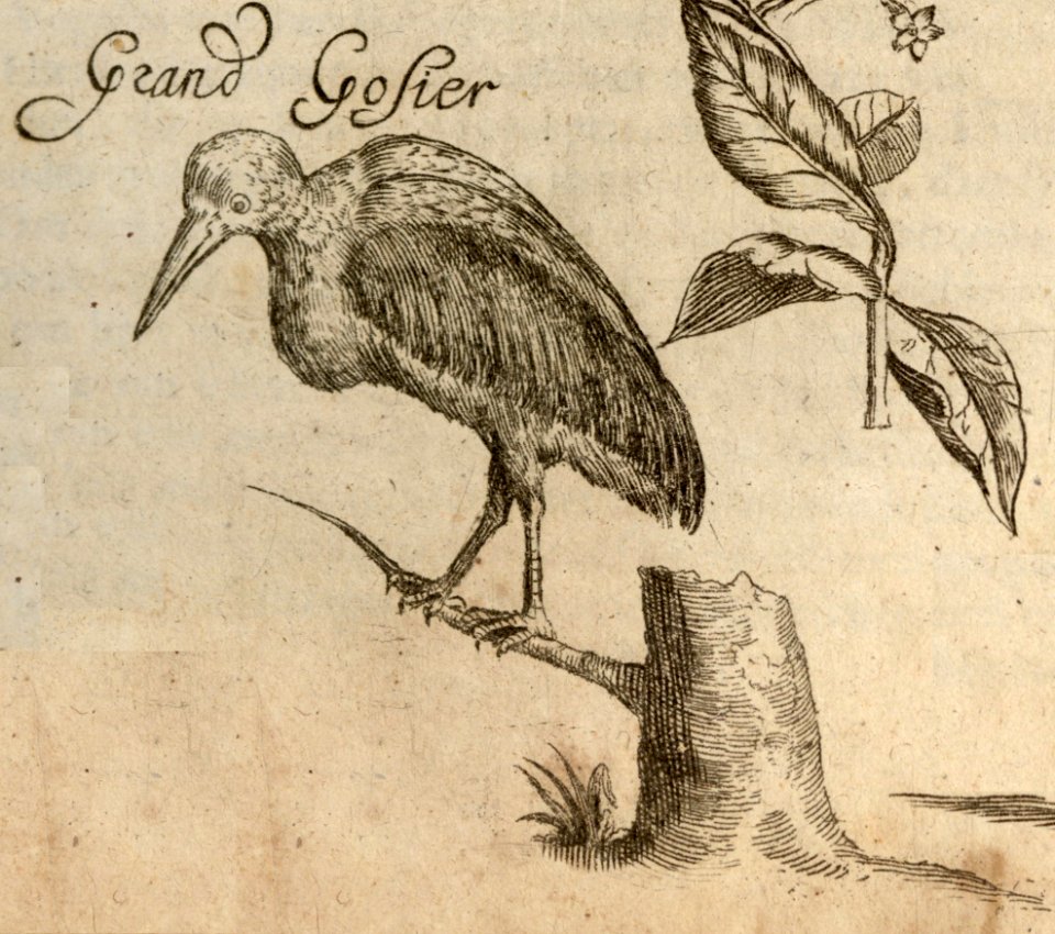 Den Grooten-Krop - BNA-DIG-KOSTBARE-0427-033 d