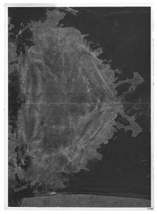 Den yttersta av Gustav II Adolfs Lützenskjortor - Livrustkammaren - 77972-negative