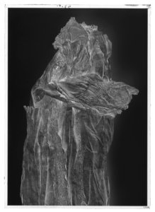 Den yttersta av Gustav II Adolfs Lützenskjortor - Livrustkammaren - 52305-negative