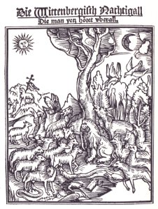 Die Wittenbergisch Nachtigall