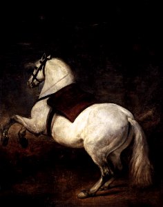 Diego Velázquez - A White Horse - WGA24416. Free illustration for personal and commercial use.