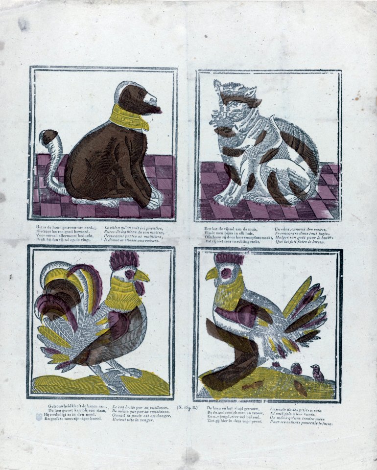 Dieren Brepols