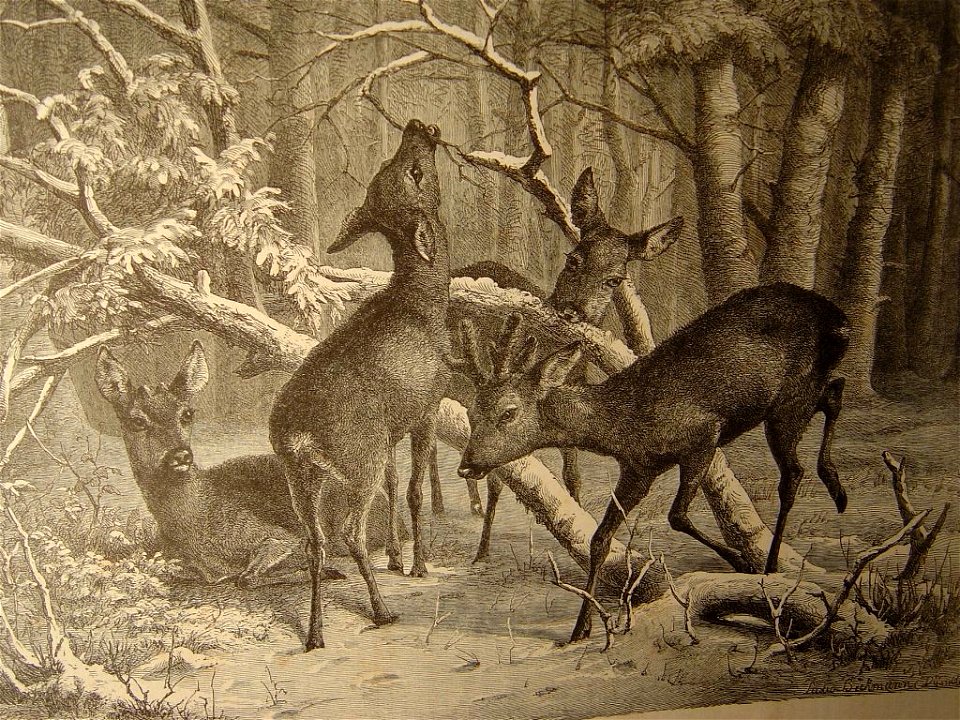 Diner d'hiver