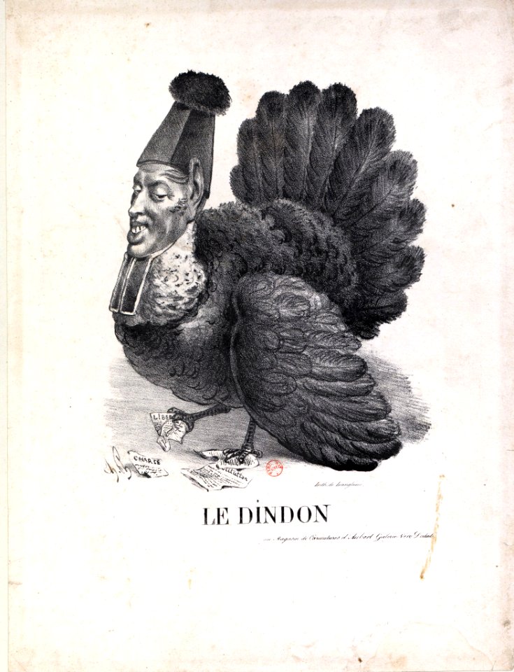 Dindon Philipon