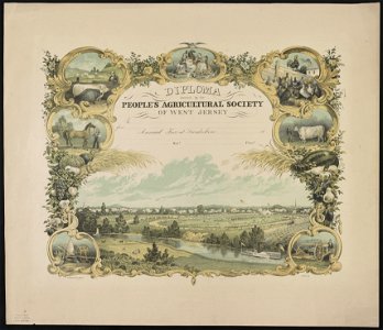 Diploma awarded by the People's Agricultural Society of West Jersey - P.S. Duval & Son's Lith. Pa. ; J. Queen del. LCCN2013651043